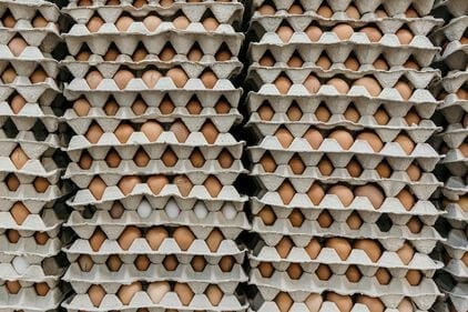 Eiwitten: wat zijn het en waar zitten ze in?
