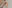 Alternative text missing