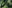 Alternative text missing