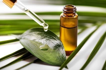 Tea Tree-olie: 10 toepassingen voor thuis