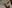 Alternative text missing