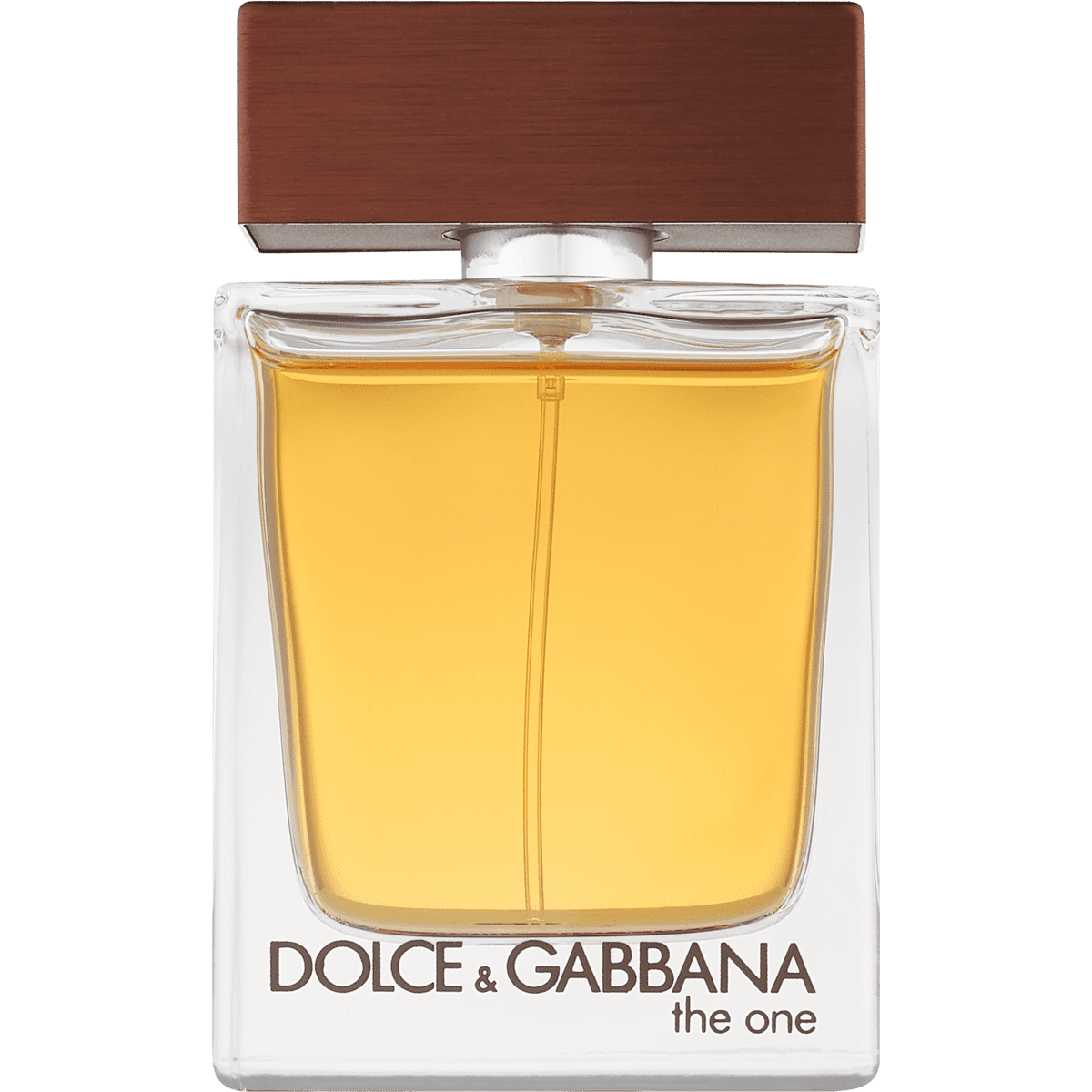 dolce and gabbana the one for men parfum
