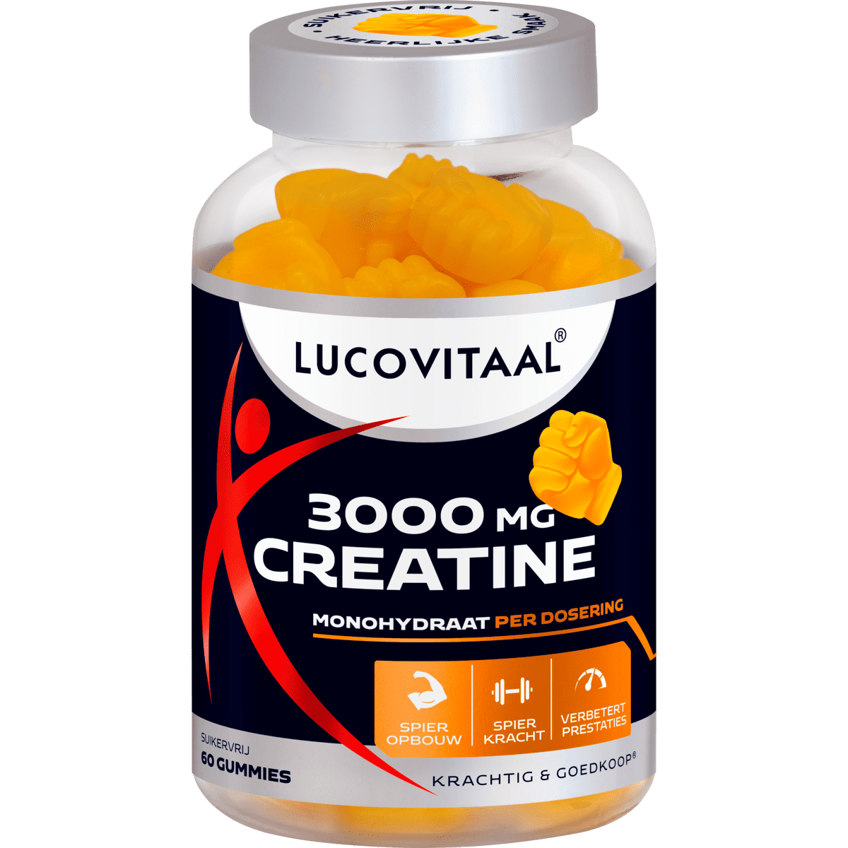 was ist acetyl l carnitin Acetyl L-Carnitin  120 Kapseln  GN Laboratories