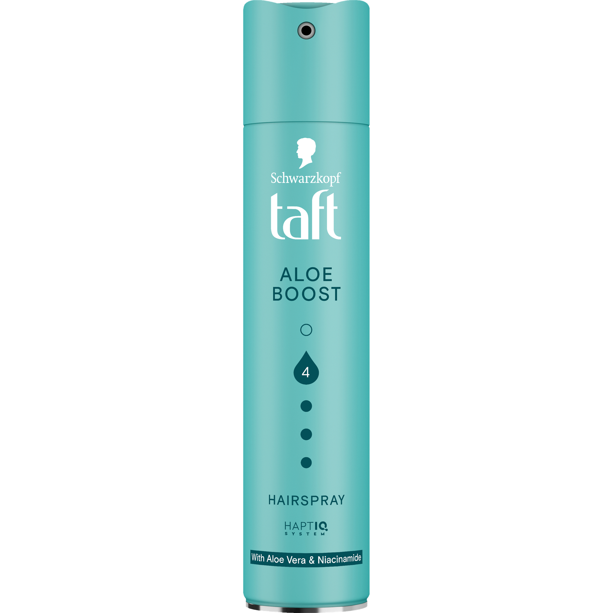 Taft Aloe Haarspray 250 ML