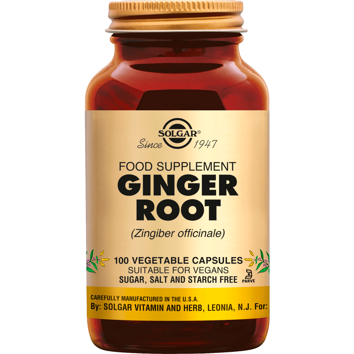 Ginger Root Cut & Dried 100g From The Spiceworks - Hereford Herbs & Spices - View #3