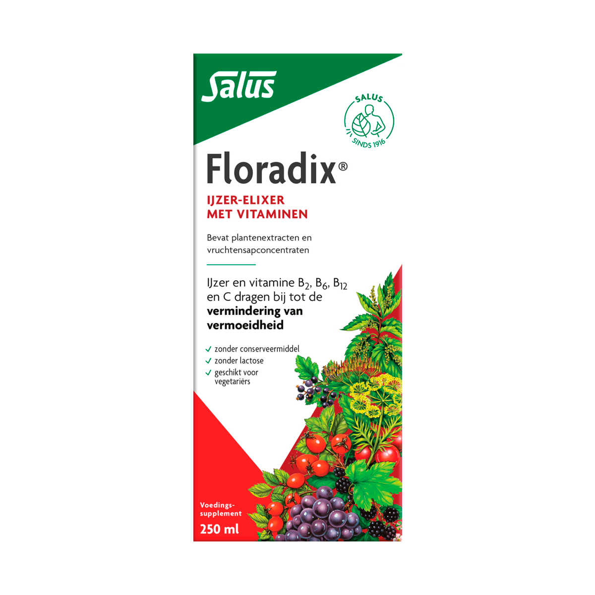 Floradix Vloeibaar IJzer Elixer 250 ML