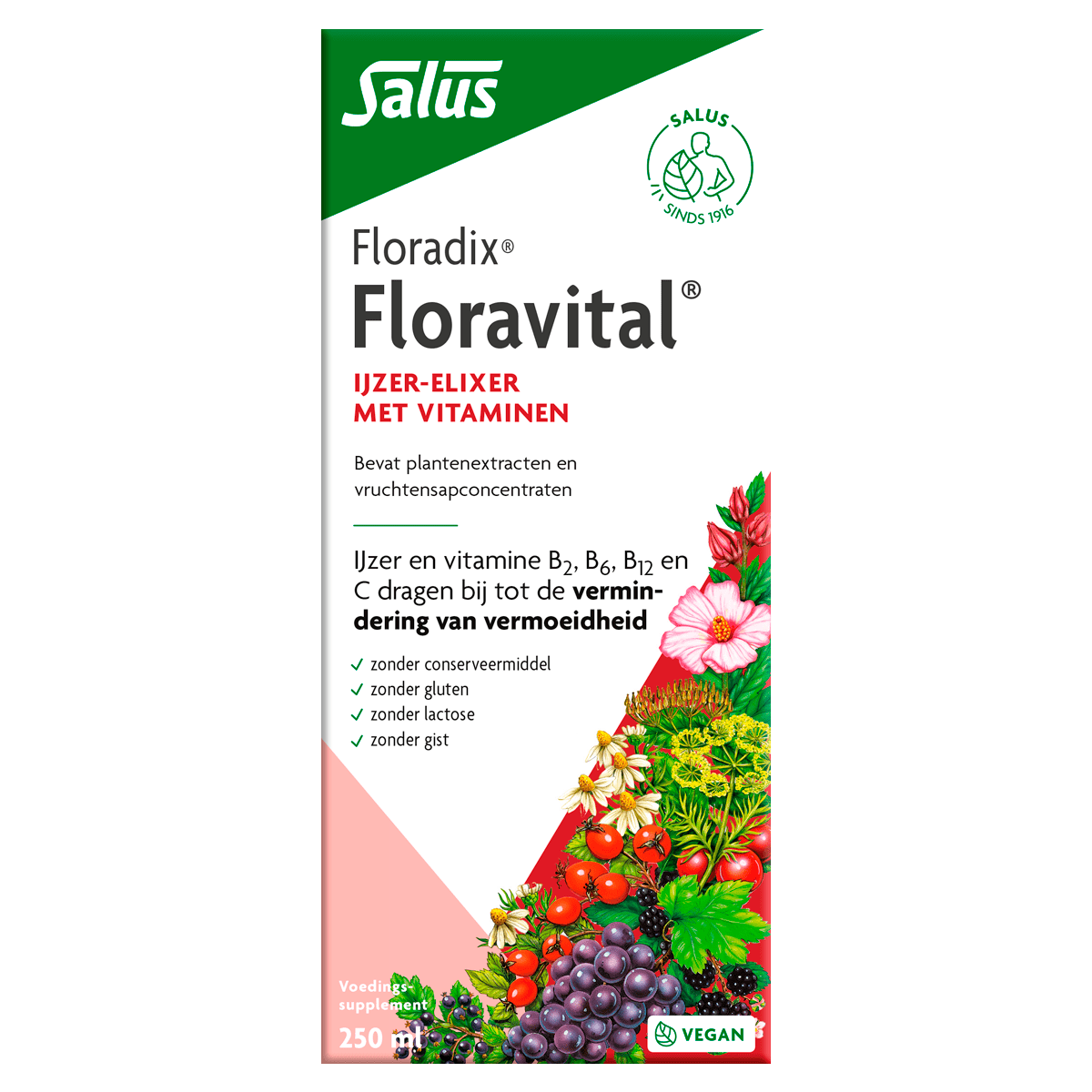 Floradix Floravital Ijzer Elixer 250 ML
