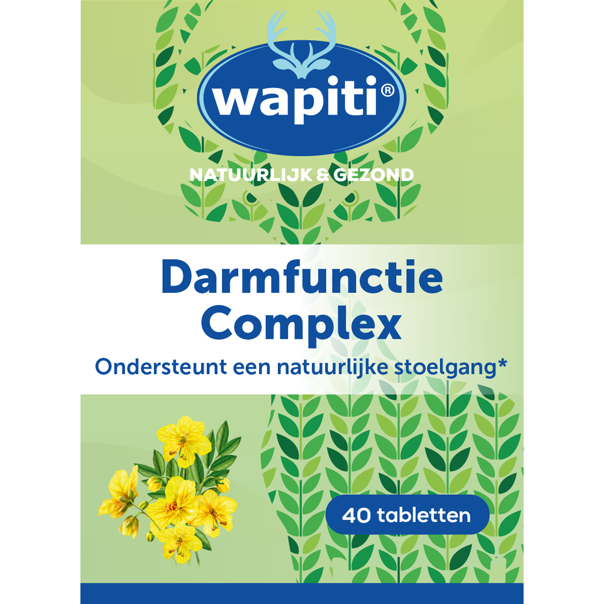 Wapiti Darmfunctie Complex Tabletten 40 stuks