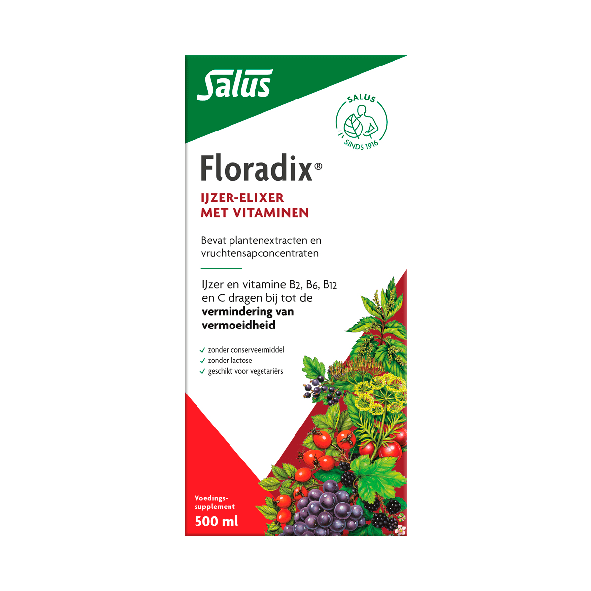 Floradix IJzer Elixer 500 ML
