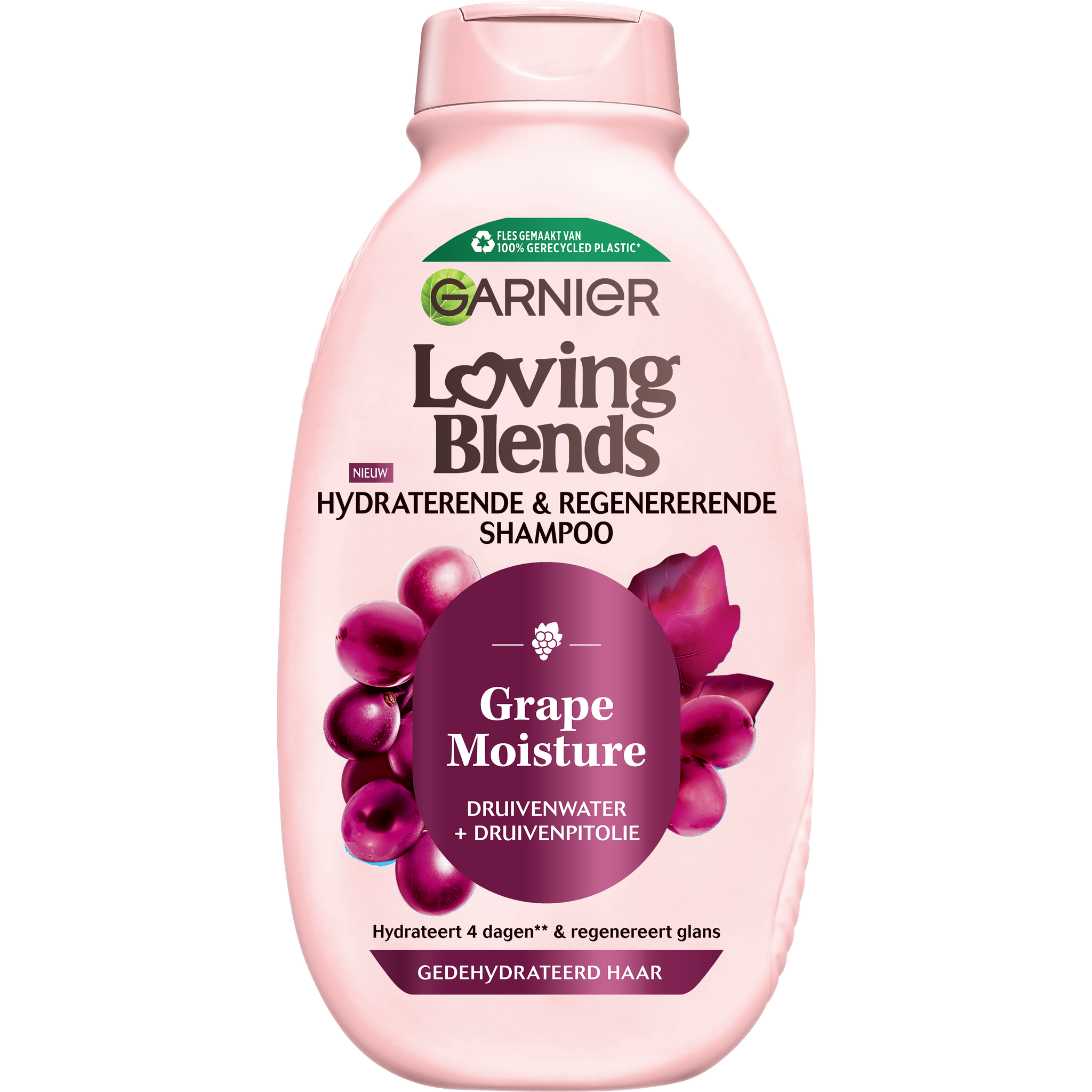 Garnier Loving Blends Grape Moisture Shampoo 300 ML
