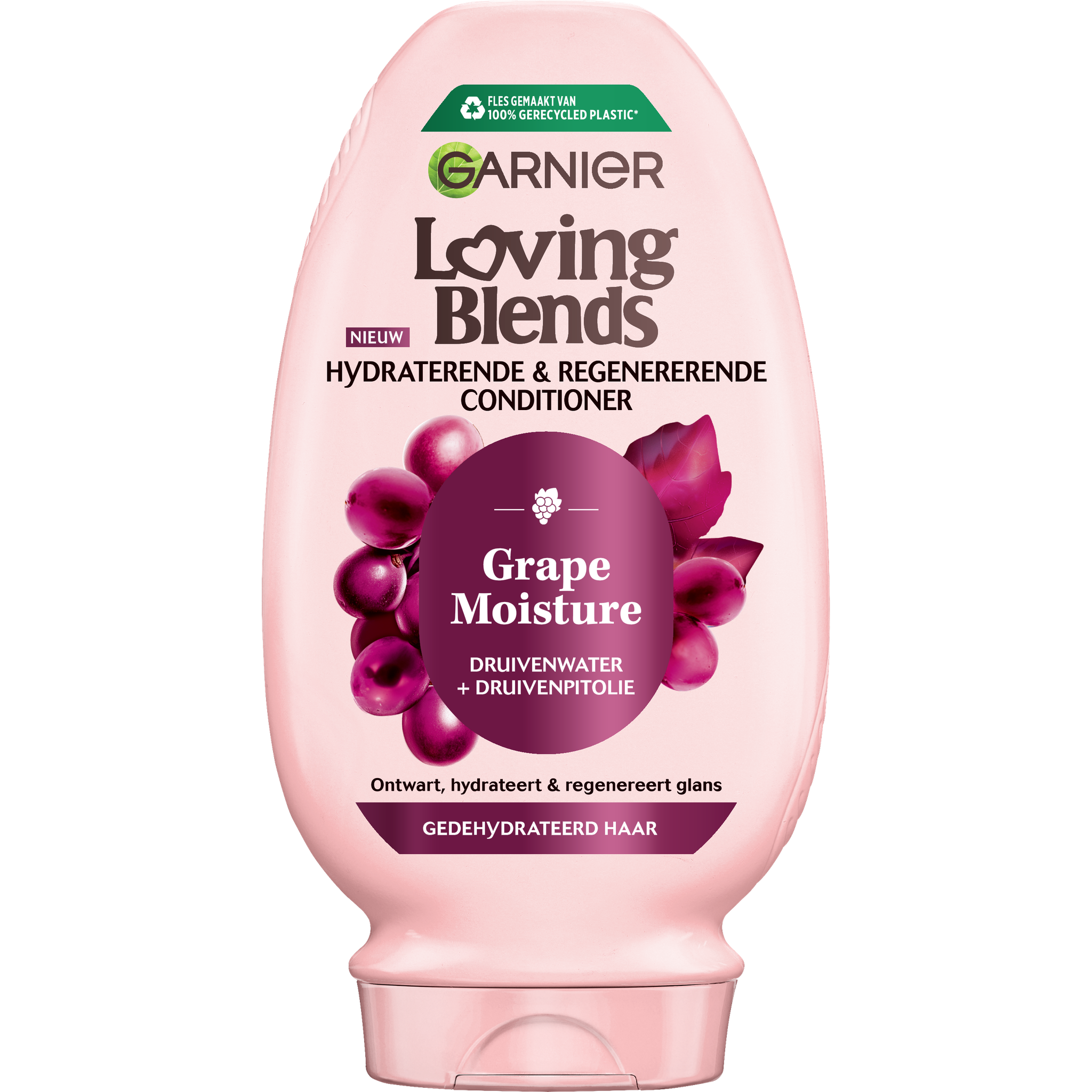 Garnier Loving Blends Grape Moisture Conditioner 250 ML