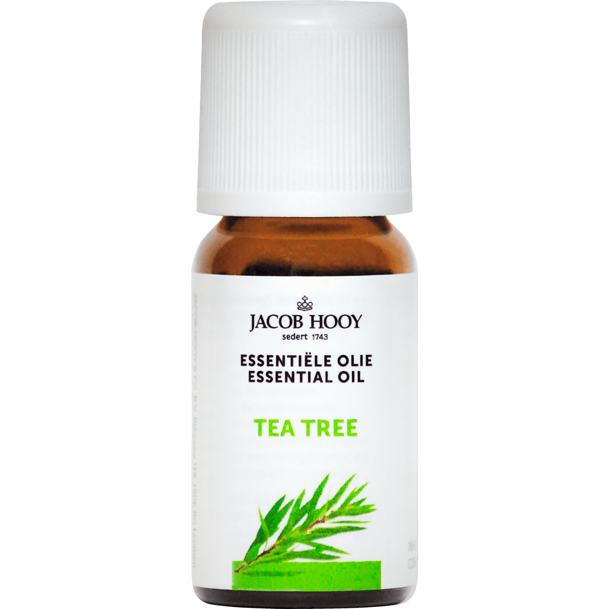 Jacob Hooy Essentiële Olie Tea Tree 10 ML