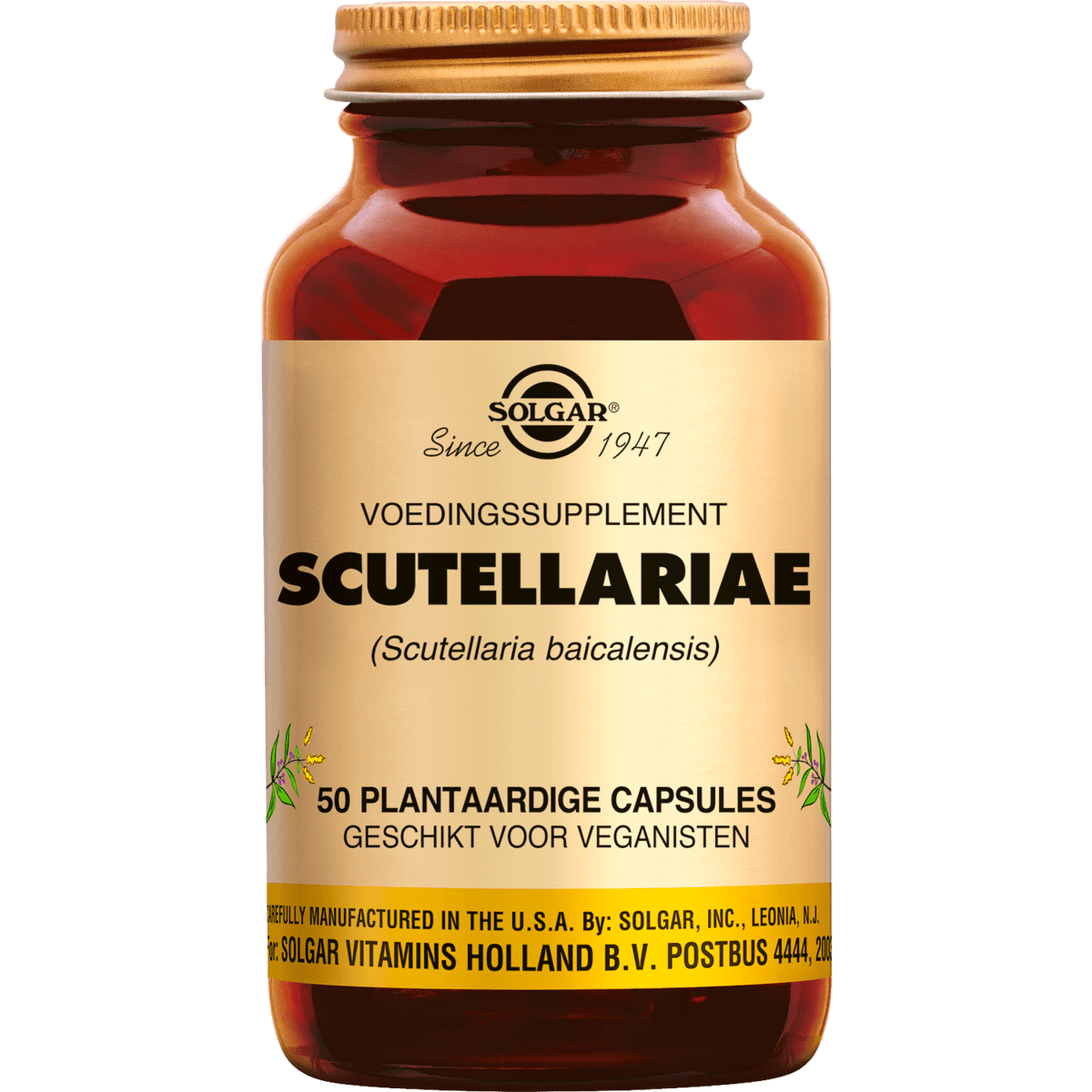 Solgar Scutellariae Capsules 50 stuks